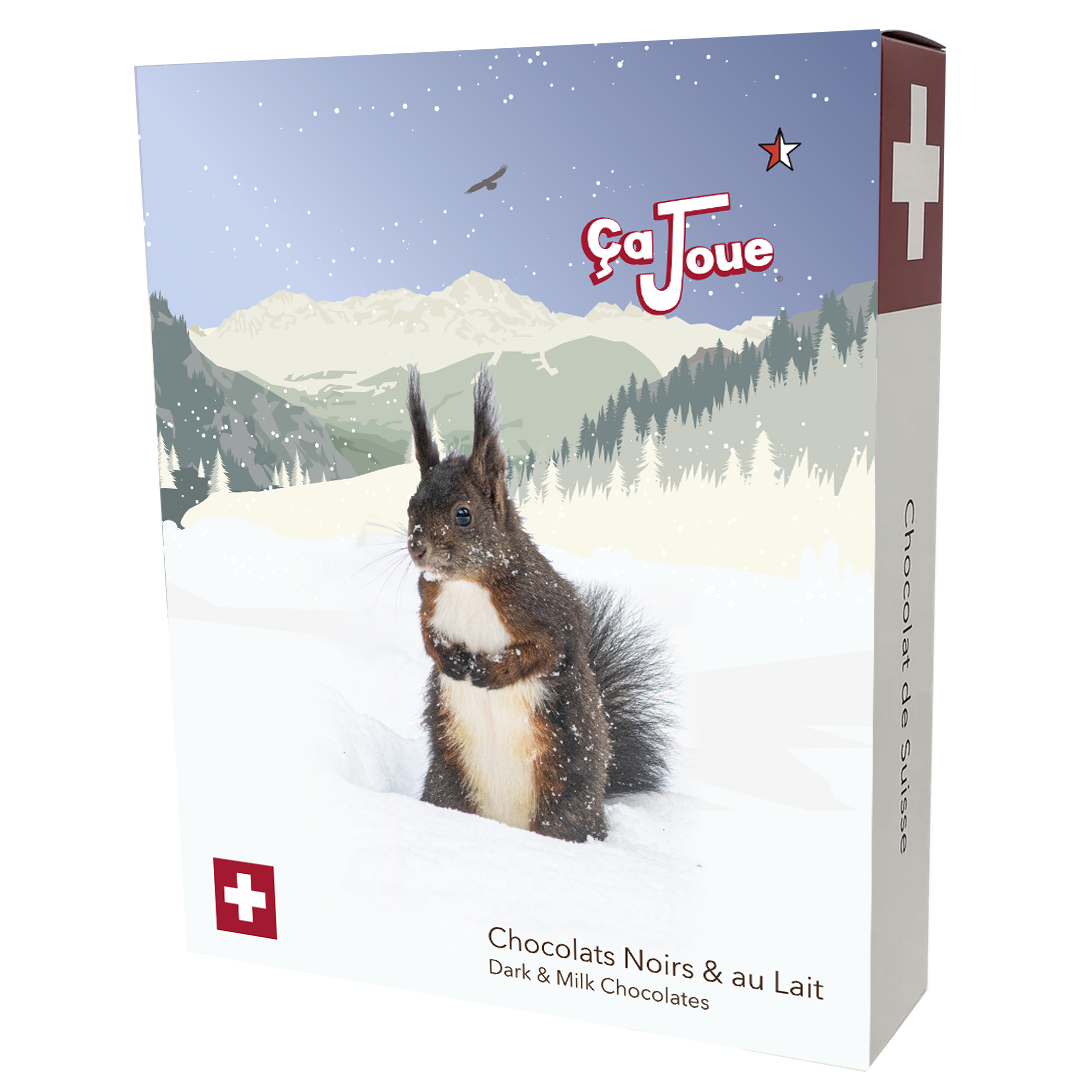 Gift Box 4 of 1 Dark & 3 Swiss Milk Chocolates featuring a squirrel