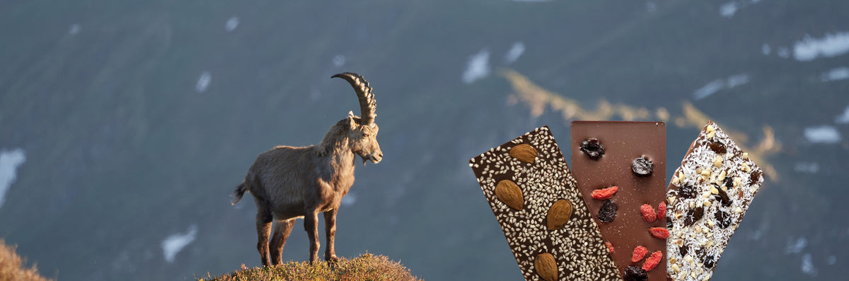 Tablettes de chocolat suisse bio Ça Joue illustrées d'animaux des Alpes