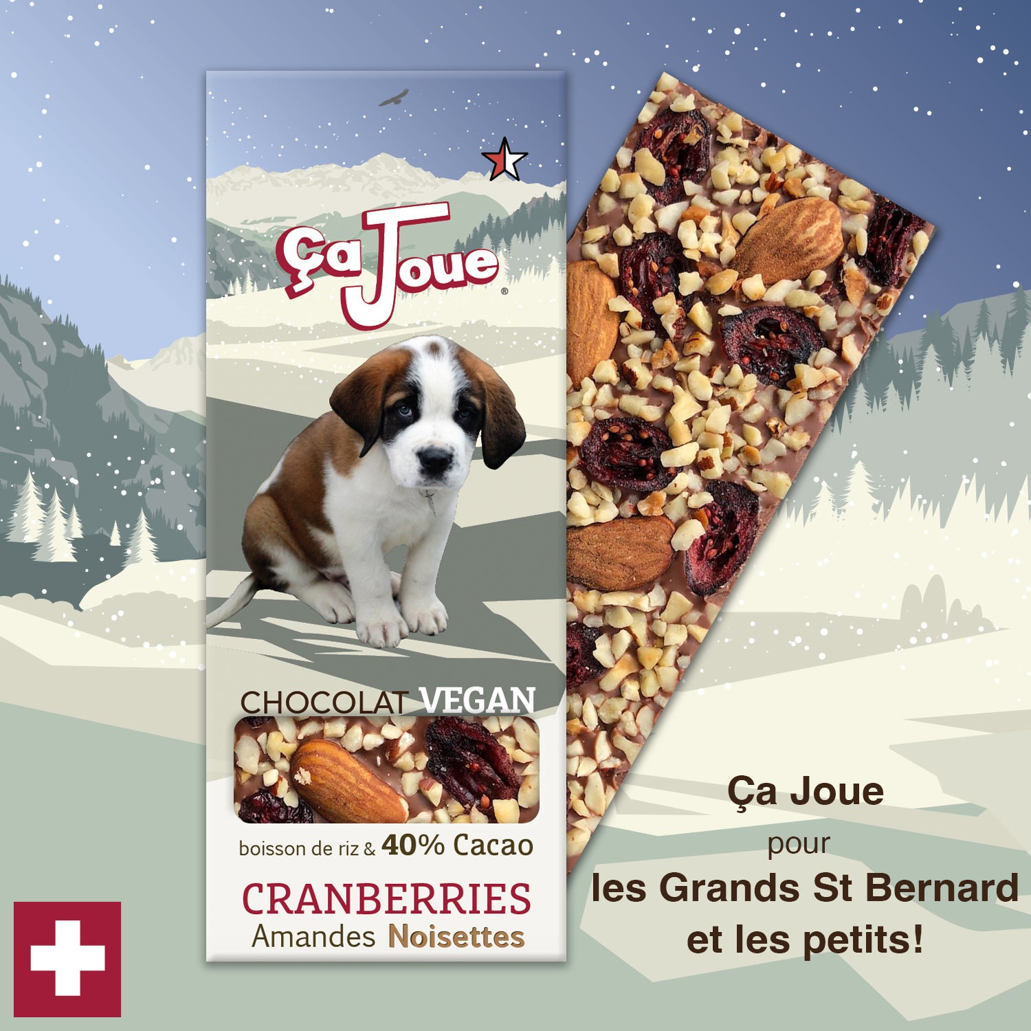 Ça Joue pour pour les petits St Bernards (Ref-BV5) Chocolat du Val de Bagnes