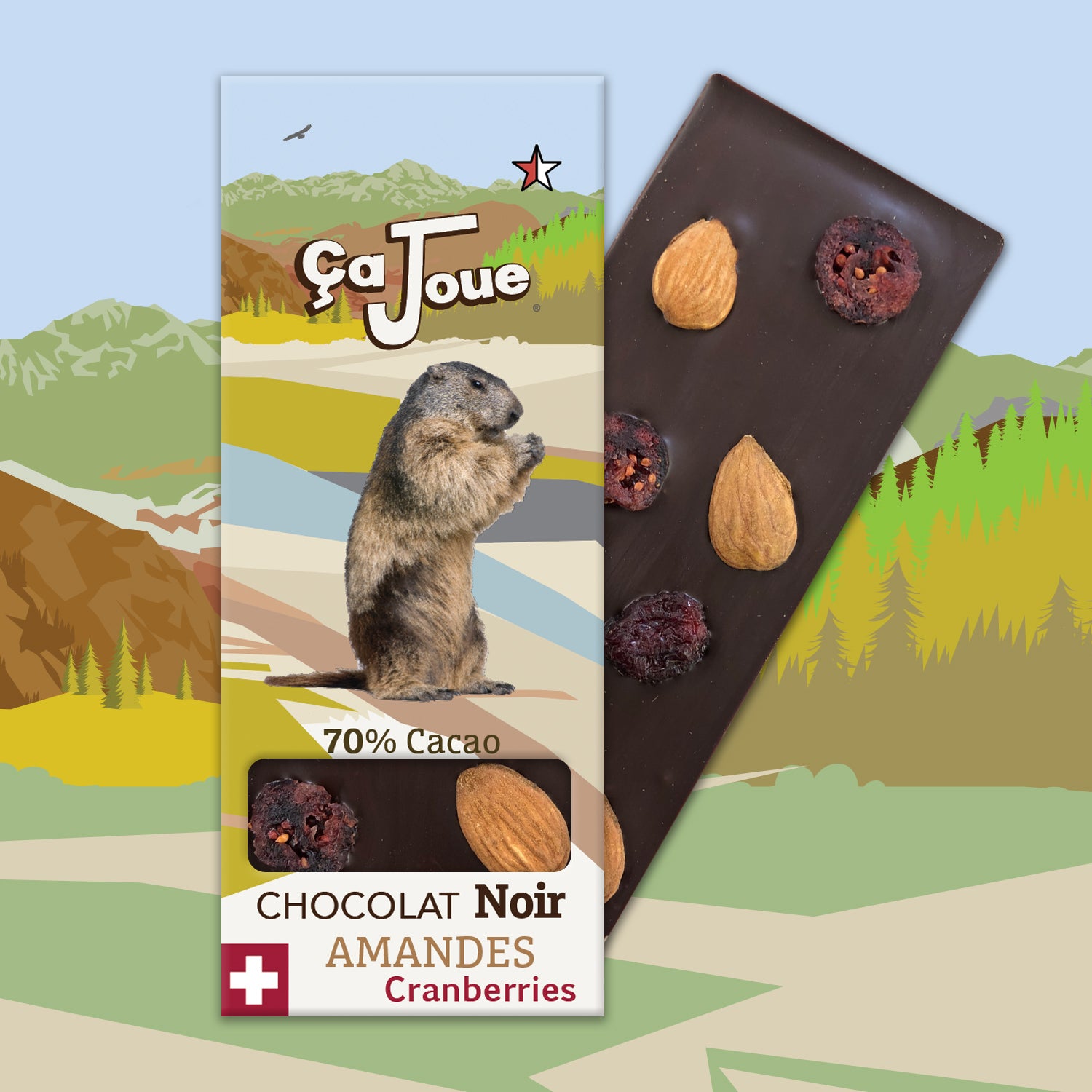Ça Joue for the Marmots (Ref-BN5) Chocolate from Val de Bagnes
