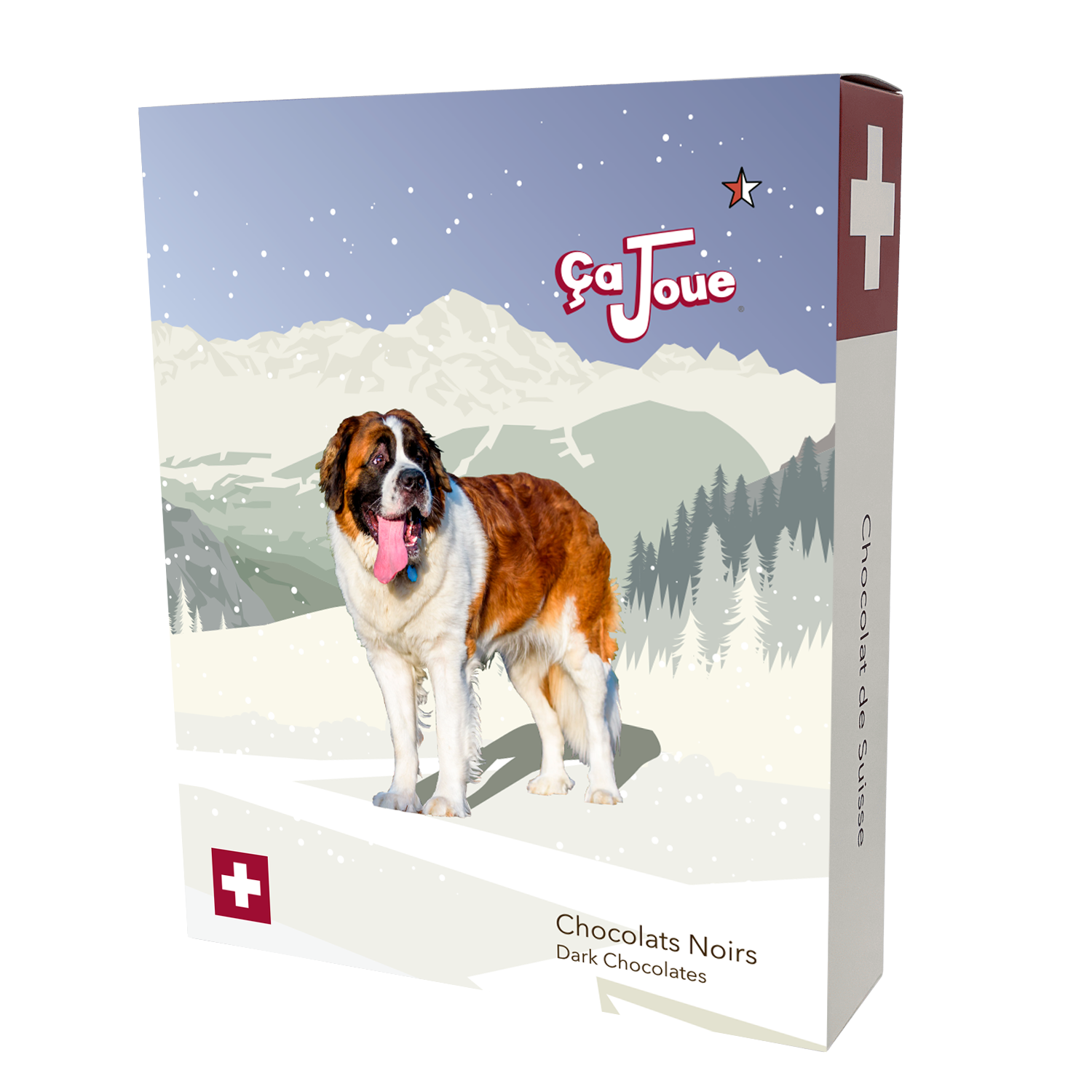 Coffret Cadeau Sélection de 4 Chocolats Noirs (D1-fr)