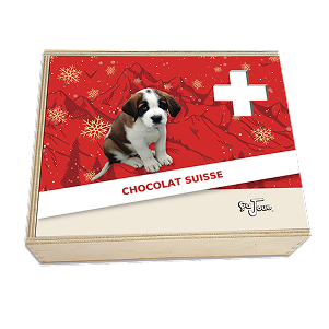 Petit St Bernard